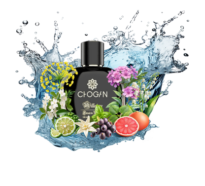 Perfume For Him with 30% essence - 70 ml Br. 015