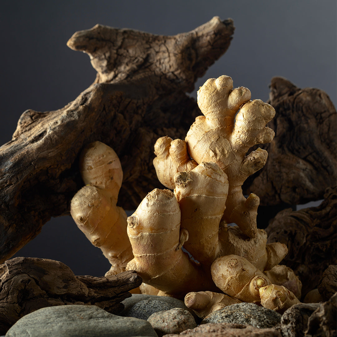 Divine Aura - Perfume for Her No. C148W 3 ml | With 30% essence