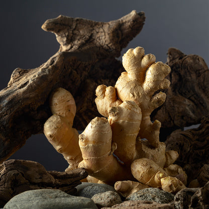 Divine Aura - Perfume for Her No. 148W 70 ml | With 30% essence