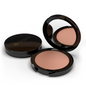 ‘Warm Shade’ Pressed Highlighter – Shiny Bronze